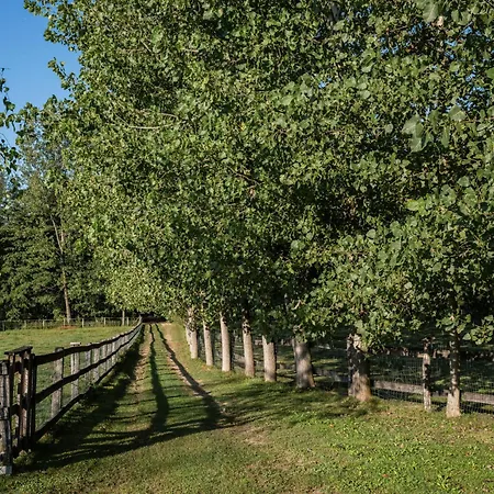 בית נופש Cosy Village Sentjernej